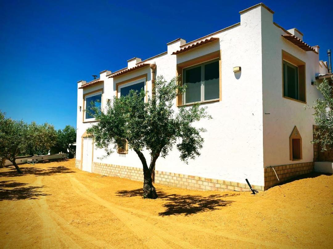 Villa Immersa In Oliveto Vista Mare Sciacca Dış mekan fotoğraf