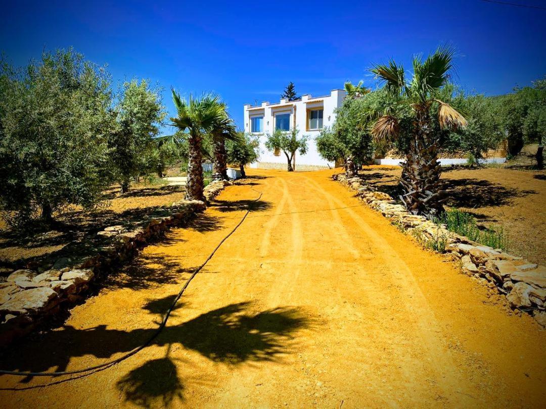 Villa Immersa In Oliveto Vista Mare Sciacca Dış mekan fotoğraf