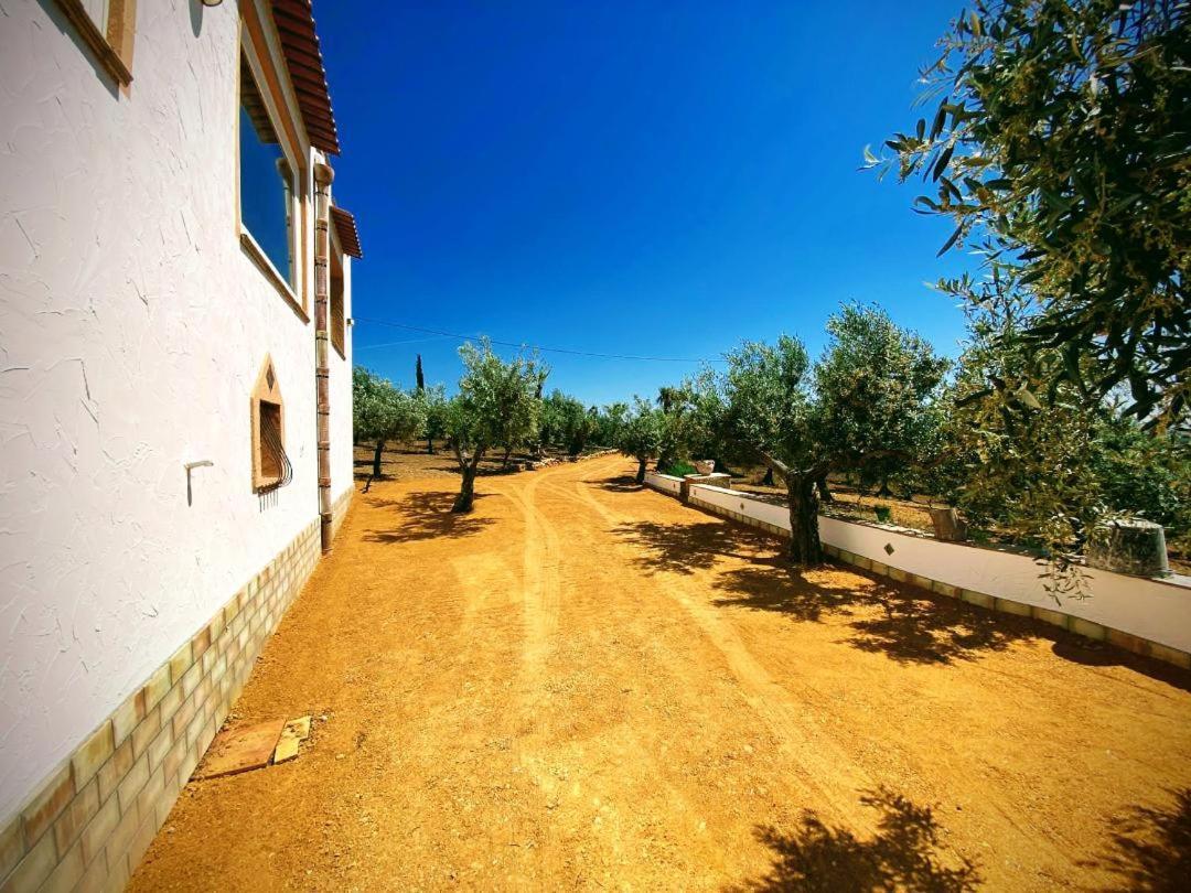Villa Immersa In Oliveto Vista Mare Sciacca Dış mekan fotoğraf