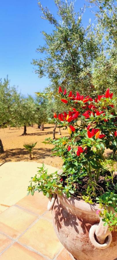 Villa Immersa In Oliveto Vista Mare Sciacca Dış mekan fotoğraf