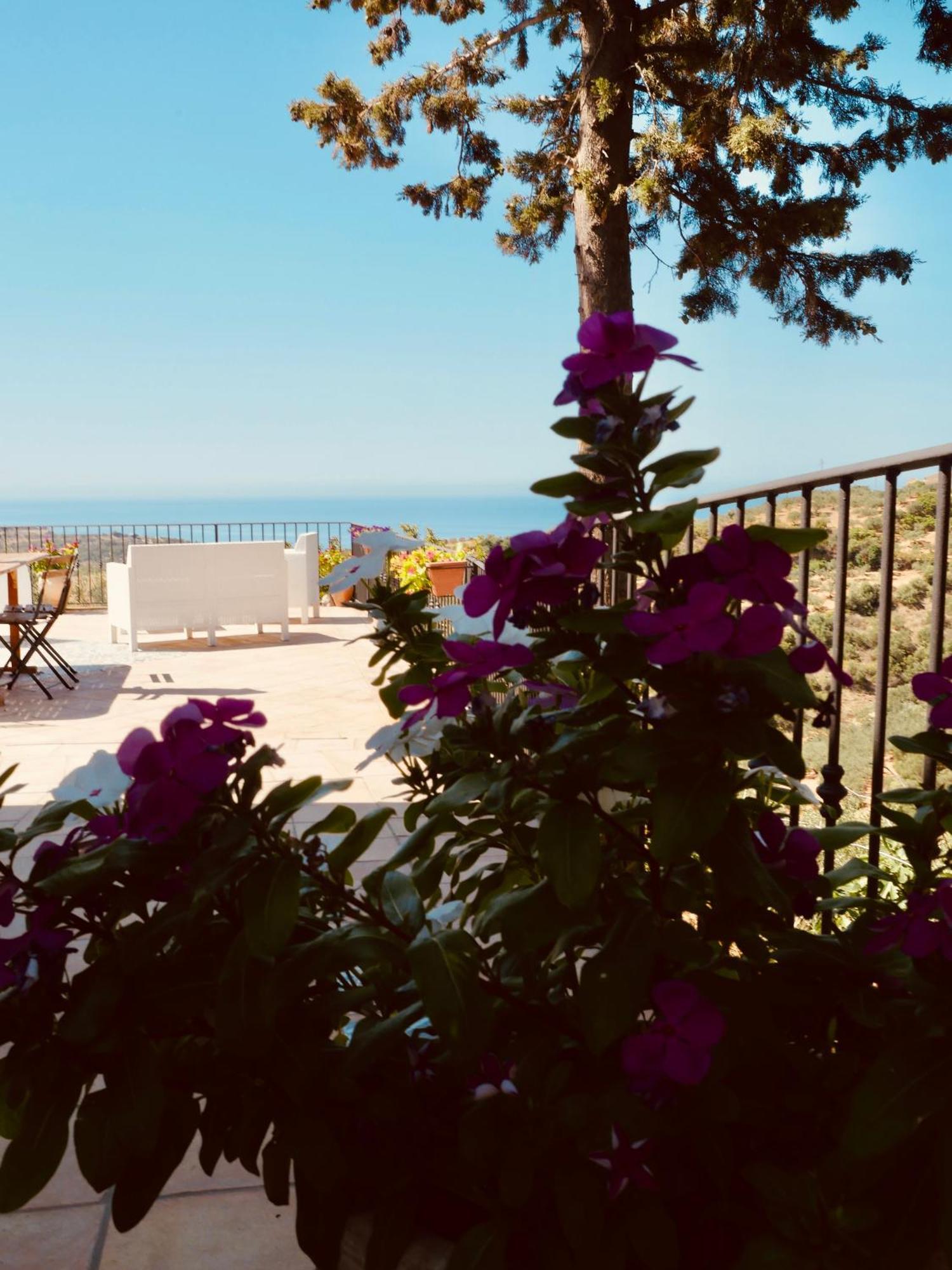 Villa Immersa In Oliveto Vista Mare Sciacca Dış mekan fotoğraf