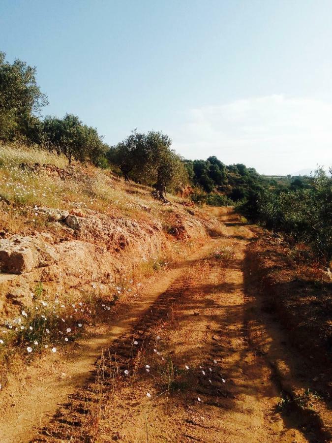 Villa Immersa In Oliveto Vista Mare Sciacca Dış mekan fotoğraf